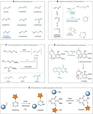 Editorial: Heterodienes in organic synthesis